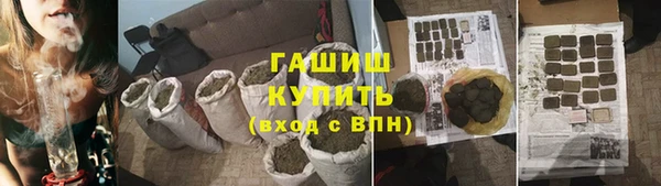бошки Белокуриха