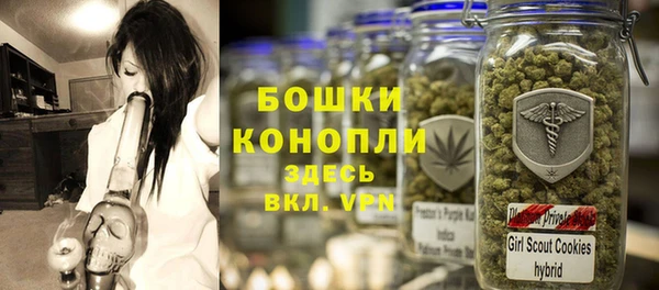 бошки Белокуриха