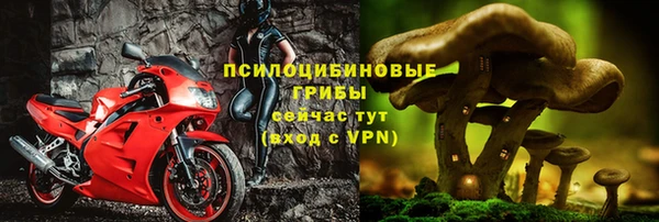 прущие крисы Белоозёрский