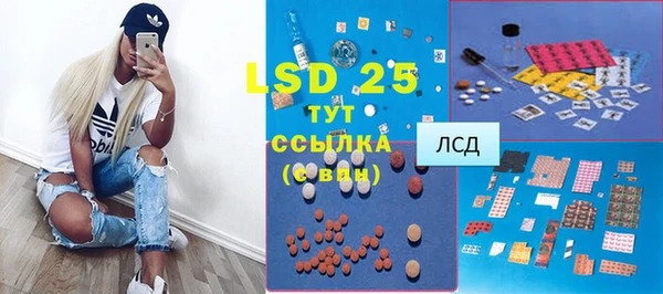 шишки Осинники