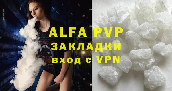 бошки Белокуриха