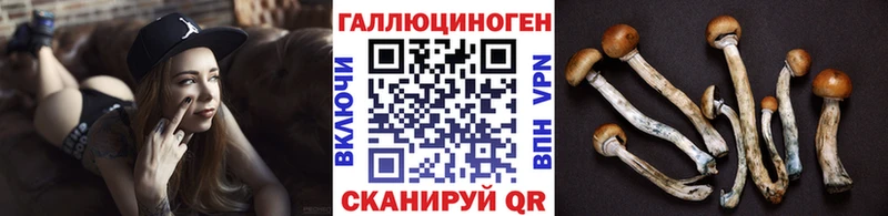 Псилоцибиновые грибы MAGIC MUSHROOMS  блэк спрут   Павловск 